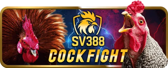 Casino trực tiếp rich88